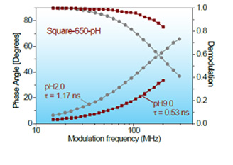 Frequency–response curves (phase angle and demodulation) of the Square-650-pH-IgG conjugate (D/P = 0.8) at pH 2.0 and pH 9.0